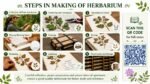 Herbarium Notes for B.Sc. Botany Students (Plant Systematics) - Image 2