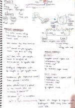 Locomotion and movement - Image 3