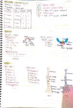 Locomotion and movement - Image 5