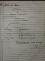 Class-11;Biology;Neural Control and Coordination - Image 12