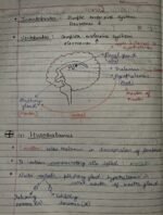 Class-11; Biology;Chemical Coordination and Integration - Image 3