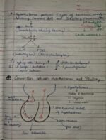 Class-11; Biology;Chemical Coordination and Integration - Image 4