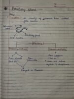 Class-11; Biology;Chemical Coordination and Integration - Image 6