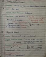Class-11; Biology;Chemical Coordination and Integration - Image 7