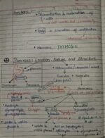 Class-11; Biology;Chemical Coordination and Integration - Image 10