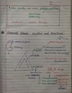 Class-11; Biology;Chemical Coordination and Integration - Image 11