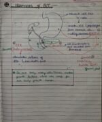 Class-11; Biology;Chemical Coordination and Integration - Image 13
