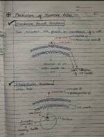 Class-11; Biology;Chemical Coordination and Integration - Image 15