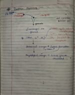 Class-11; Biology;Chemical Coordination and Integration - Image 16