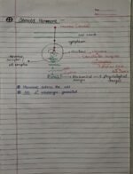 Class-11; Biology;Chemical Coordination and Integration - Image 17