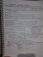 Chemistry class 11th Thermodynamics handwritten notes - Image 2