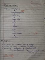 Class-11;Biology - Image 5