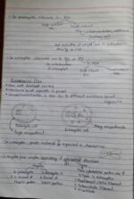 Cell: The unit of life -Eukaryotic cell - Image 2