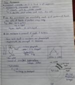 Cell:the unit of life -Cell membrane, Cell wall and nucleus - Image 2