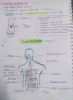 Class 10 Biology Chapter 5 Life Processes Complete Notes | NCERT Based | Exam Ready - Image 2