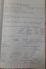 Class 11-Cell cycle and cell division - Image 2