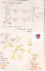 BIOLOGY HANDWRITTEN NOTES - Image 3