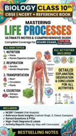 Life Processes Class 10th Notes + Activities Conclusions