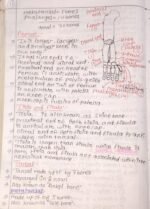 Locomotion and movement - Image 7