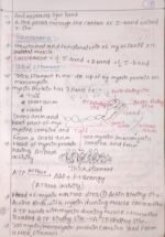 Locomotion and movement - Image 11