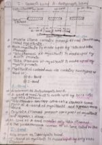 Locomotion and movement - Image 13