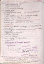 Locomotion and movement - Image 16