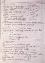 Locomotion and movement - Image 14