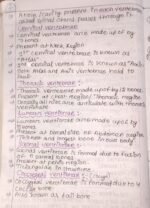 Locomotion and movement - Image 23
