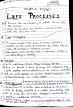 Life Processes Class 10th Notes + Activities Conclusions - Image 2