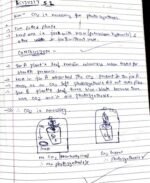 Life Processes Class 10th Notes + Activities Conclusions - Image 3