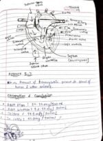 Life Processes Class 10th Notes + Activities Conclusions - Image 5