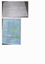 ANIMAL KINGDOM - Image 12