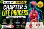 Class 10 Biology Chapter 5 Life Processes Complete Notes | NCERT Based | Exam Ready
