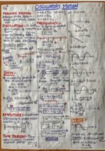 Oscillator Motion