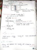 Neet UG Botany (chapter - Cell the unit of life ) full notes - Image 15
