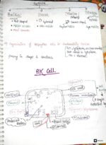 Neet UG Botany (chapter - Cell the unit of life ) full notes - Image 6