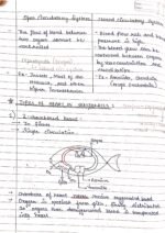 Human physiology class 11 notes - Image 18