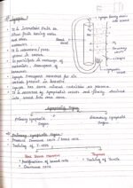 Human physiology class 11 notes - Image 27
