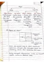 Human physiology class 11 notes - Image 30