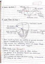 Human physiology class 11 notes - Image 31