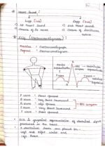 Human physiology class 11 notes - Image 34