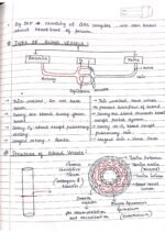 Human physiology class 11 notes - Image 35