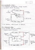 Human physiology class 11 notes - Image 19