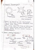Human physiology class 11 notes - Image 24