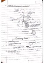 Human physiology class 11 notes - Image 4