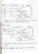 Human physiology class 11 notes - Image 12