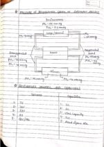 Human physiology class 11 notes - Image 14