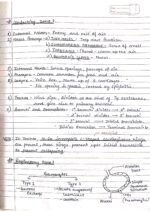 Human physiology class 11 notes - Image 3