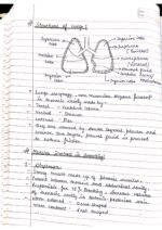 Human physiology class 11 notes - Image 7