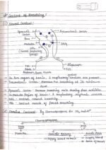 Human physiology class 11 notes - Image 9